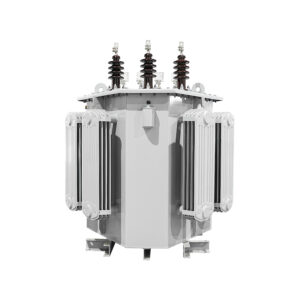 Amorphous Metal Oil-Immersed Transformer